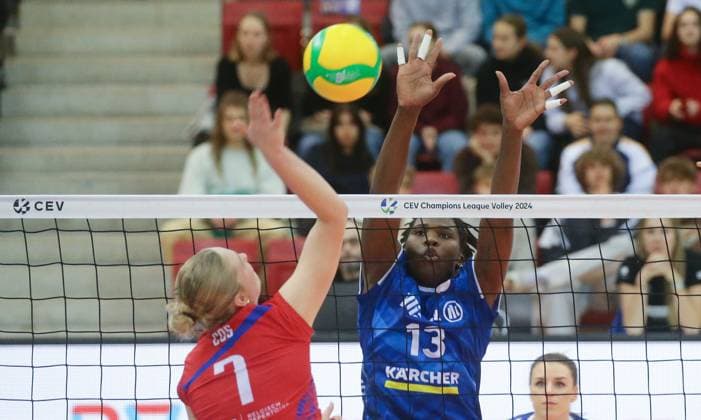 Stuttgart , Volleyball CEV Champions League , Allianz MTV Stuttgart vs. Asterix Avo Beveren , Krystal Rivers ( Stgt )