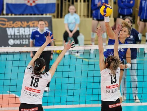 Volleyball - CEV Challenge Cup - VC Wiesbaden - AC PAOK Thessaloniki - 17.01.24, -