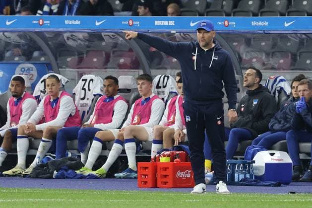 DEU, DFL, 2. FBL, Hertha BSC vs. 1.FC Magdeburg, 16.02.2024, Berliner Olympiastadion, Berlin, DEU, DFL, 2. FBL, Hertha BSC vs. 1.FC Magdeburg, im Bild Cheftrainer Pal Dardai (Hertha BSC Berlin) DFL - regulations prohibit any use of Photographs as image sequences and or quasi-video Foto: Juergen Engler nordphoto GmbH