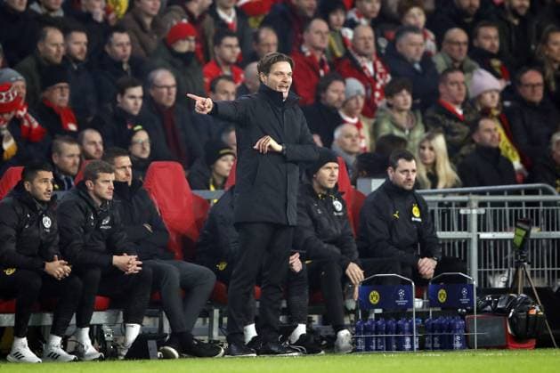 EINDHOVEN - Borussia Dortmund coach Edin Terzic during the UEFA Champions League round of 16 match between PSV Eindhoven and Borussia Dortmund at the Phillips stadium on February 20, 2024 in Eindhoven, Netherlands. ANP Hollandse Hoogte Bart Stoutjesdijk UEFA Champions League 2023 24 2023 2024 xVIxANPxSportx xBartxStoutjesdijkxIVx 491635346 originalFilename: 491635346.jpg