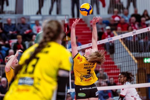 VBL Volleyball-Bundesliga; SC Potsdam - VfB Suhl LOTTO Thüringen; 09.03.2024 VBL Volleyball-Bundesliga; SC Potsdam - VfB Suhl LOTTO Thüringen; 09.03.2024 Copyright: xBEAUTIFULxSPORTS NicolxMarschallx