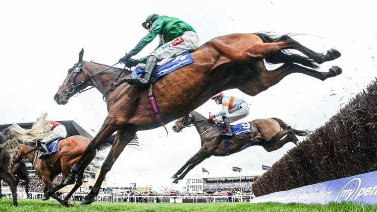 Sport Themen der Woche KW11 Sport Bilder des Tages 2024 Cheltenham Festival Previews, Prestbury Park, Cheltenham, England 11 3 2024 My Pension Expert Arkle Challenge Trophy Novices Chase Daryl Jacob onboard Hunters Yarn at the start of the race Daryl Jacob onboard Hunters Yarn at the start of the race 11 3 2024  Copyright: x INPHO TomxMaherx BRTB4165