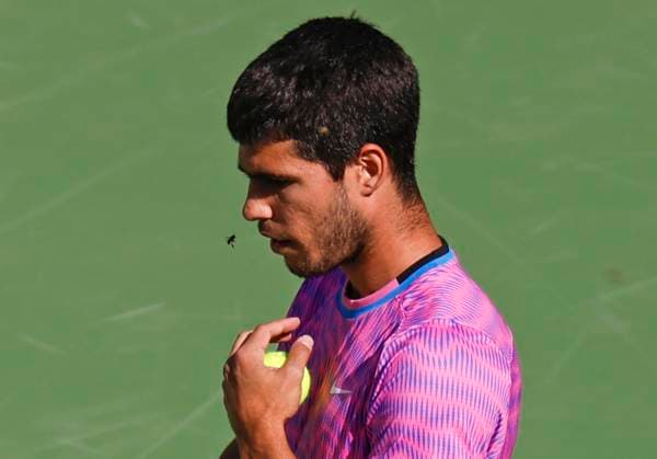 Sport Themen der Woche KW11 Sport Bilder des Tages March 14, 2024 Carlos Alcaraz of Spain is swarmed by bees during his match against Alexander Zverev of Germany during the BNP Paribas Open in Indian Wells, CA. CSM Indian Wells United States of America - ZUMAc04_ 20240314_zma_c04_094 Copyright: xCharlesxBausx