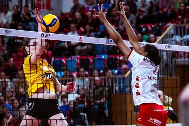 VBL Volleyball-Bundesliga; SC Potsdam - VfB Suhl LOTTO Thüringen; PlayOffs, 24.03.2024 VBL Volleyball-Bundesliga; SC Potsdam - VfB Suhl LOTTO Thüringen; 24.03.2024 Copyright: xBEAUTIFULxSPORTS NicolxMarschallx