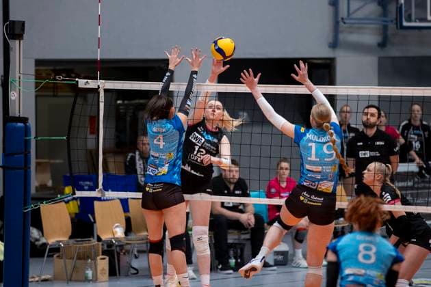 2. Bundesliga Frauen Pro: SSC Freisen vs. Schwarz-Weiss Erfurt; Freisen; 21.04.2024 Tina De Groot ( 12; Schwarz-Weiss Erfurt) gegen Doreen Werth ( 4; SSC Freisen) und Alison Muldrow ( 19; SSC Freisen) 2. Bundesliga Frauen Pro: SSC Freisen vs. Schwarz-Weiss Erfurt; Bruchwaldhalle Freisen; 21.04.2024 Copyright: xBEAUTIFULxSPORTS Duehringx