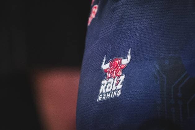 Virtual Bundesliga Grand Final by WOW; 21.04.2024 Levy Finn Rieck (levyfinn, RB Leipzig), Logo der RB Leipzig Gaming. Virtual Bundesliga Grand Final by WOW; 21.04.2024