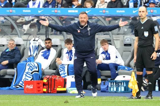 DEU, DFL, 2. FBL, Hertha BSC vs. Hannover 96, 26.04.2024, Berliner Olympiastadion, Berlin, DEU, DFL, 2. FBL, Hertha BSC vs. Hannover 96, im Bild Cheftrainer Pal Dardai (Hertha BSC Berlin) DFL - regulations prohibit any use of Photographs as image sequences and or quasi-video Foto: Juergen Engler nordphoto GmbH