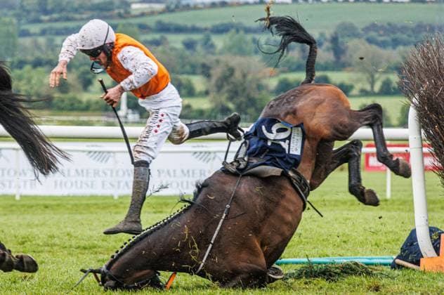 Sport Themen der Woche KW18 Sport Bilder des Tages 2024 Punchestown Racing Festival, Punchestown Racecourse, Kildare 4 5 2024 Palmerstown House Estate Pat Taaffe Handicap Chase Daniel King onboard Donacheady Gale is unseated on the final fence Daniel King onboard Donacheady Gale is unseated on the final fence 4 5 2024  Copyright: x INPHO TomxMaherx BB4_7106