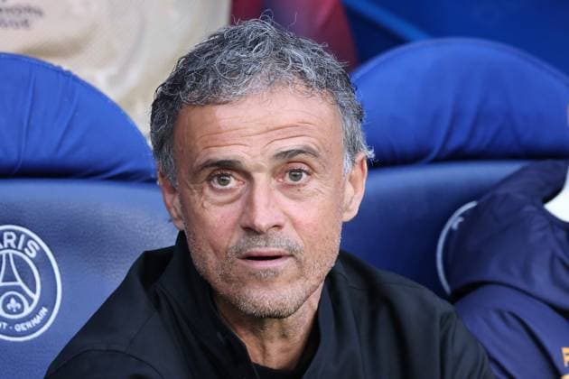 Psg - Dortmund PHOTOPQR LE PARISIEN Fred Dugit ; Paris ; 07 05 2024 ; Parc des princes (Paris XVIe), le 7 mai 2024 1 2 finale retour de ligue des champions Psg - Dortmund L entraîneur parisien, Luis Enrique. Photo LP Fred Dugit - France, Paris May 7, 2024 PSG vs Dortmund: Champions League