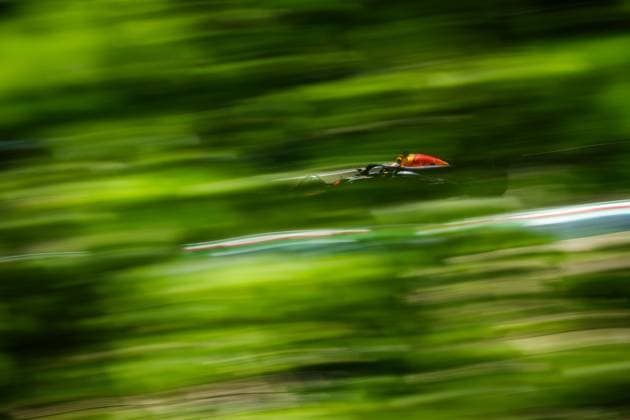 01 VERSTAPPEN Max (nld), Red Bull Racing RB20, action during the Formula 1 MSC Cruises Gran Premio del Made in Italy e Dell™Emilia-Romagne 2024, 7th round of the 2024 Formula One World Championship, WM, Weltmeisterschaft from May 17 to 19, 2024 on the Autodromo Enzo e Dino Ferrari, in Imola, Italy - F1 - EMILIA-ROMAGNA GRAND PRIX 2024 DPPI Panoramic  240518_R07_EMR_DP_FG004085-Modifier