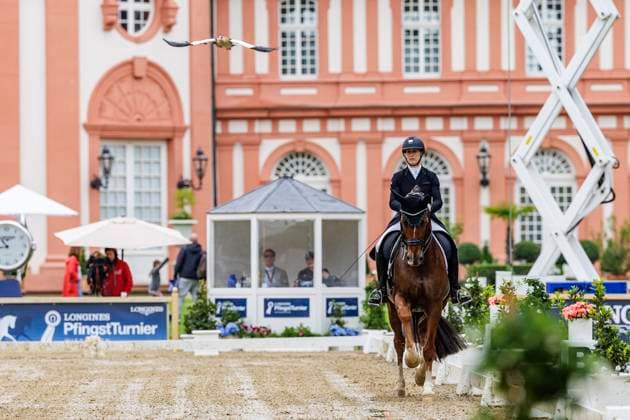 Bilder des Jahres 2024, Sport 05 Mai Sport Themen der Woche KW21 Sport Bilder des Tages WIESBADEN - Pfingstturnier 2024, WIESBADEN - Pfingstturnier 2024 MAYR Angelika (AUT), Frascati 74 DERBY Stars von Morgen CDN - Nat. Dressage competition S*** Wiesbaden, Schlosspark, Biebrich 19. May 2024 - *** WIESBADEN Pfingstturnier 2024, WIESBADEN Pfingstturnier 2024 MAYR Angelika AUT , Frascati 74 DERBY Stars von Morgen CDN Nat Dressage competition S Wiesbaden, Schlosspark, Biebrich 19 May 2024