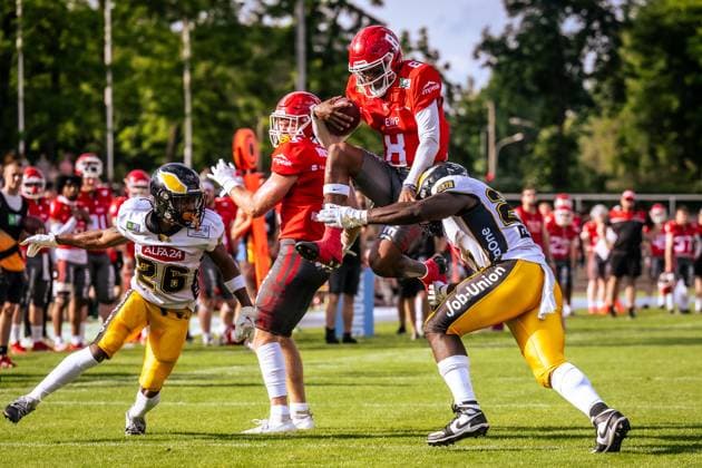 GFL German Football League; Potsdam Royals - Berlin Adler GFL German Football League; Potsdam Royals - Berlin Adler Copyright: xBEAUTIFULxSPORTS NicolxMarschallx