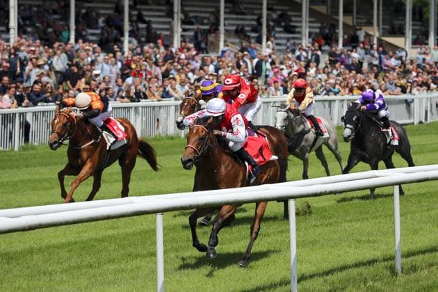 Sport Themen der Woche KW22 Sport Bilder des Tages 30.05.2024, Iffezheim, Baden-Wuerttemberg, GER - Savoya mit Eduardo Pedroza gewinnt. Galopprennbahn Baden-Baden, Iffezheim. (Pferd, Jockey, Savoya, Pedroza, Sieg, Ziel, Zielankunft) 240530B975IFFEZHEIM.JPG *** 30 05 2024, Iffezheim, Baden Wuerttemberg, GER Savoya with Eduardo Pedroza wins racecourse Baden Baden, Iffezheim horse, jockey, Savoya, Pedroza, victory, finish, finish 240530B975IFFEZHEIM JPG