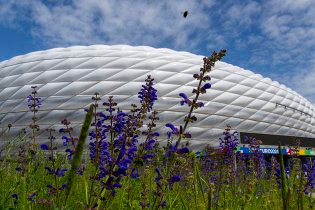 30.05.2024, Fussball Europameisterschaft 2024, Das EM-Stadion München Fußball Arena, so heisst die Allianz-Arena München während der EM, an der Fassade wurde bereits der urprüngliche Name abmontiert. Blumen blühen auf der Esplanade