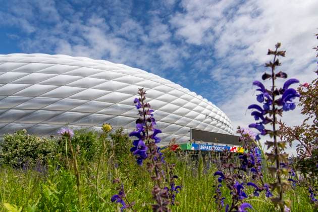 30.05.2024, Fussball Europameisterschaft 2024, Das EM-Stadion München Fußball Arena, so heisst die Allianz-Arena München während der EM, an der Fassade wurde bereits der urprüngliche Name abmontiert. Blumen blühen auf der Esplanade
