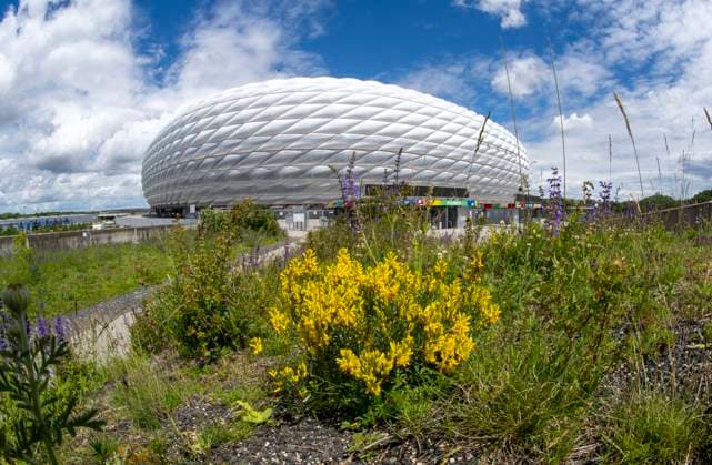 30.05.2024, Fussball Europameisterschaft 2024, Das EM-Stadion München Fußball Arena, so heisst die Allianz-Arena München während der EM, an der Fassade wurde bereits der urprüngliche Name abmontiert. Blumen blühen auf der Esplanade