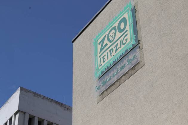 UEFA EURO, EM, Europameisterschaft,Fussball 2024: Robben-Orakel im Zoo Leipzig, 13.06.24 Schild Zoo Leipzig, Der Natur auf der Spur. Robben-Orakel im Zoo Leipzig vor dem Eröffnungsspiel Deutschland gegen Schottland, 13.06.24. Copyright: xBEAUTIFULxSPORTS JanxKaeferx