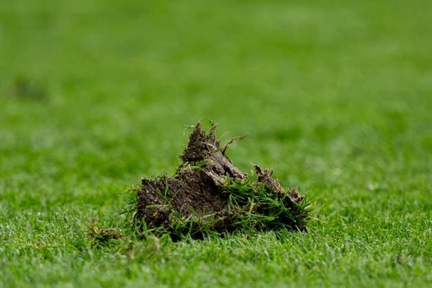 240617 Grass during the UEFA EURO, EM, Europameisterschaft,Fussball 2024 Football Championship match between Belgium and Slovakia on June 17, 2024 in Frankfurt. Photo: Mathias Bergeld BILDBYRAN kod MB MB0937 fotboll football soccer fotball fotbolls-em europamästerskap em uefa euro uefa european football championship euro 2024 belgien belgium slovakien slovakia bbeng genre Copyright: MATHIASxBERGELD BB240617MB056