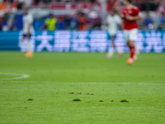 Football - UEFA EURO, EM, Europameisterschaft,Fussball 2024 - Group C - Denmark v England FRANKFURT, GERMANY - Thursday, June 20, 2024: The pitch cuts up during the UEFA Euro 2024 Group C match between Denmark and England at the Waldstadion. (Photo by David Rawcliffe Propaganda) FRANKFURT Waldstadion HESSE GERMANY  Copyright: xDavidxRawcliffex P2024-06-20-Denmark_England-60