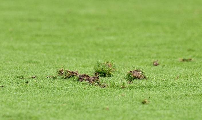 20.06.2024, xscotx, Fussball EM 2024, Dänemark - England, emspor, v.l. kaputter Rasen in der Frankfurt Arena Deutsche Bank Park Loch Spielfeld Rasenteile Rasenstücke Rasenstuecke Erde Acker Feld Grün Gruen zerstört zerstoert Kaputt Loch Loecher Löcher Frankfurt am Main