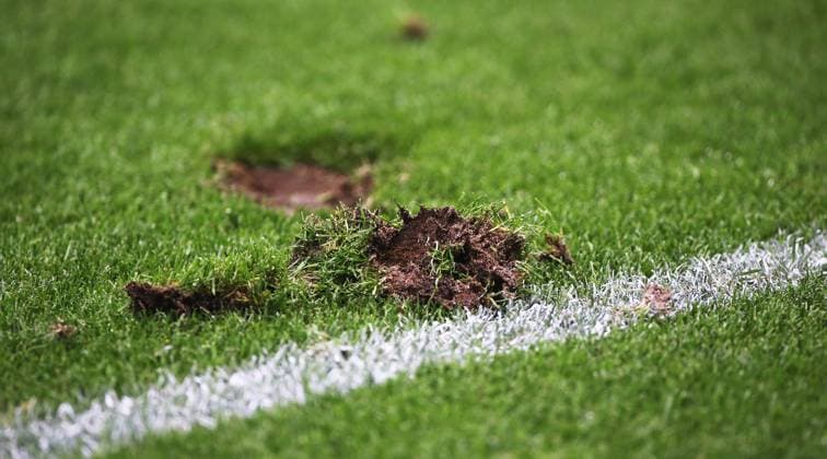 Sport Bilder des Tages BAU 23.06.2024 Frankfurt Fußball EM 2024 Schweiz vs. Deutschland, Feature Rasen in Frankfurt