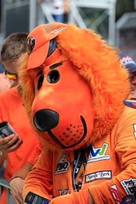 FORMULA 1 - GP of Austria 2024 SPIELBERG,AUSTRIA,27.JUN.24 - MOTORSPORTS, FORMULA 1 - Grand Prix of Austria, Red Bull Ring, preview, pit lane walk. Image shows a fan.  GEPAxpictures xMarioxBuehner-Weinrauch
