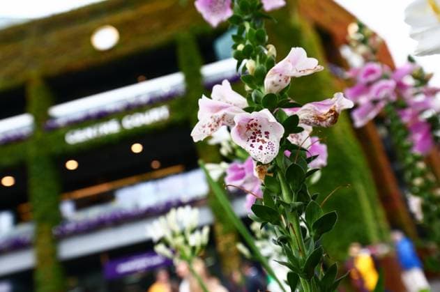 Flowers Wimbledon Tennis Championships, Day 2, The All England Lawn Tennis and Croquet Club, London, UK - 02 Jul 2024  Copyright: xJamesxMarsh Shutterstockx 14567680l