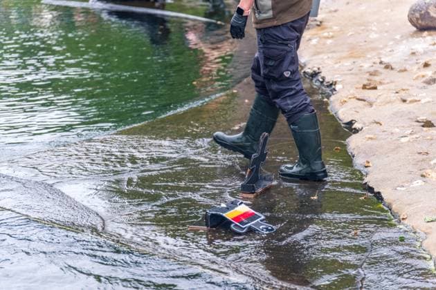 Das Seelöwen Orakel im Zoo Leipzig. Beim Training tippte die Seelöwen Dame, dass Deutschland, das Viertelfinale gegen Spanien gewinnen wird. Seelöwen Orakel