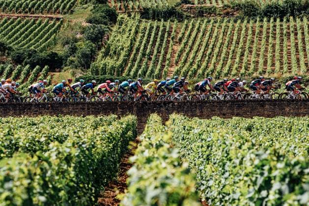Sport Bilder des Tages 2024 Tour de France Picture by Zac Williams SWpix.com - 04 07 2024 - Cycling - 2024 Tour de France - Stage 6 Macon to Dijon - France - The peloton ride through the vineyards during Stage 6. Copyright: x xSWpix.comx(t axPhotographyxHubxLtd)xZacxWilliams SWpix.comx SWP-2570-0213