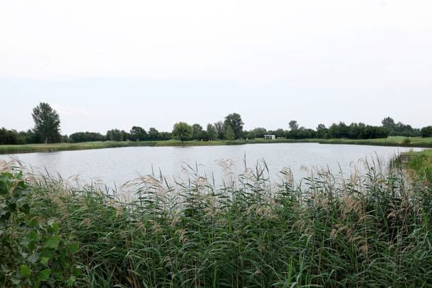 GOLF - European Boys Team Championship ATZENBRUGG,AUSTRIA,09.JUL.24 - GOLF - European Boys Team Championship, Diamond Country Club, round 1. Image shows an overview.  GEPAxpictures xHansxOberlaender