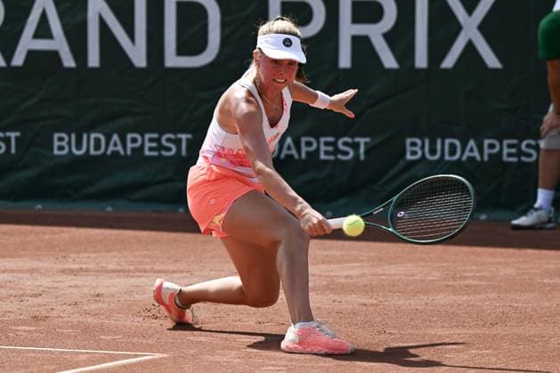 Budapest: Magdalena Frech (POL) during the single match of WTA250 Hungarian Gran Prix Tennis on 15th July 2024 at Romai Teniszakademia, Budapest, Hungary International Tennis match - WTATOUR Magdalena Frech Vs Elina Avanesyan  - ZUMAp169 20240715_zsa_p169_051 Copyright: xVincenzoxOrlando IPAxSportx