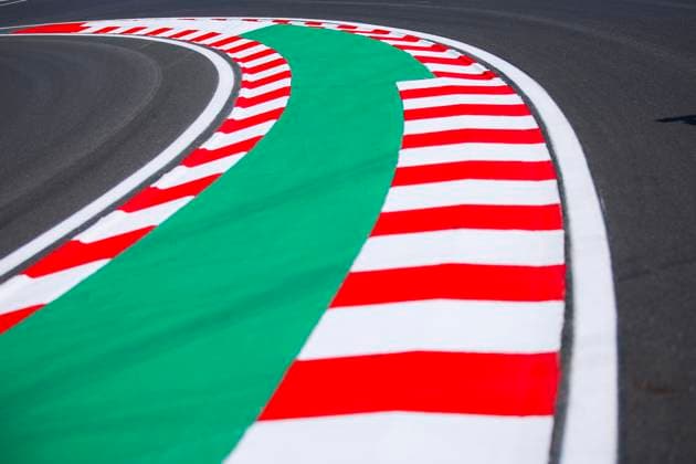 Kerbs illustration, track, piste during the Formula 1 Hungarian Grand Prix 2024, 13th round of the 2024 Formula One World Championship, WM, Weltmeisterschaft from July 19 to 21, 2024 on the Hungaroring, in Mogyorod, Hungary - F1 - HUNGARIAN GRAND PRIX 2024 DPPI Panoramic  240718_R11_UNGHERIA_DP_EA029543