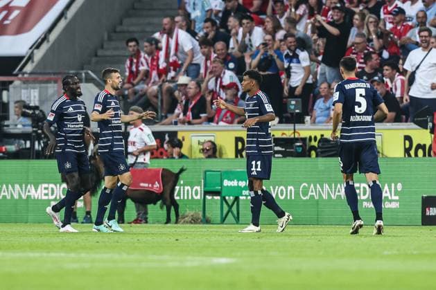 Fussball, 2.Bundesliga Saison 2024 2025 1.Spieltag 1.FC Köln - Hamburger SV 02.08.2024, RheinEnergieSTADION Torjubel Hamburger SV nach dem Tor zum 0-1 durch Ransford Konigsdorfer (Hamburger SV, 11) die Spieler freuen sich Köln RheinEnergieSTADION Nordrhein-Westfahlen Deutschland