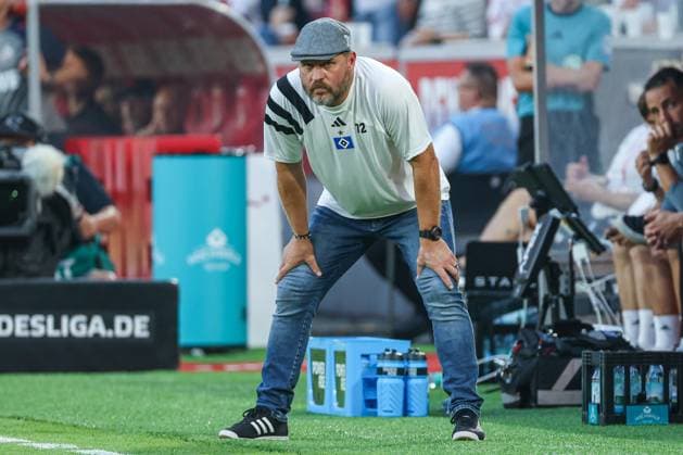 2. Bundesliga - 24 25 - 1. FC Köln - Hamburger SV am 02.08.2024 im RheinEnergieSTADION in Köln Trainer Steffen Baumgart (Hamburg)