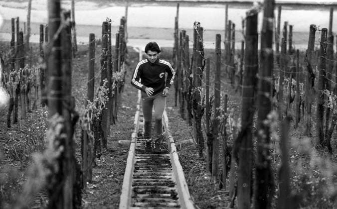 Archivbilder der Woche SPORT KW32 09.05.78 VfB Stuttgart Hansi Müller Training Weinberge Deutschland, Stuttgart, 09.05.1978, Fussball, Bundesliga, VfB Stuttgart: Hansi Müller Konditionstraining in den Weinbergen in Stuttgart. *** 09 05 78 VfB Stuttgart Hansi Müller training vineyards Germany, Stuttgart, 09 05 1978, Soccer, Bundesliga, VfB Stuttgart Hansi Müller fitness training in the vineyards in Stuttgart