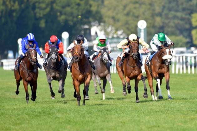 Sport Themen der Woche KW35 Sport Bilder des Tages 31.08.2024, Iffezheim, Baden-Wuerttemberg, GER - Tiffany mit Luke Morris gewinnt. Galopprennbahn Baden-Baden, Iffezheim. () 240831D533IFFEZHEIM.JPG *** 31 08 2024, Iffezheim, Baden Wuerttemberg, GER Tiffany with Luke Morris wins racecourse Baden Baden, Iffezheim 240831D533IFFEZHEIM JPG