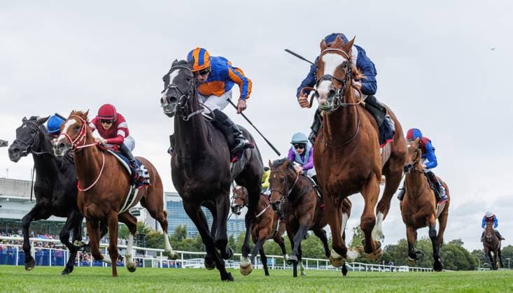 Sport Themen der Woche KW37 Sport Bilder des Tages EDITORIAL USE ONLY Irish Champions Festival - Leopardstown, Dublin 14 9 2024 The Royal Bahrain Irish Champion Stakes (Group 1) Tom Marquand on Economics (right) wins ahead of Ryan Moore on Auguste Rodin Tom Marquand on Economics wins 14 9 2024  Copyright: x INPHO JamesxCrombiex JEDL3786-CR3