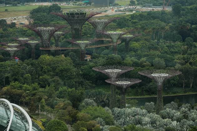Gardens by the bay atmosphere aerial views during the Formula 1 Singapore Grand Prix 2024, 18th round of the 2024 Formula One World Championship, WM, Weltmeisterschaft from September 20 to 22, 2024 on the Marina Bay Circuit, in Singapore, Singapore - F1 - SINGAPORE GRAND PRIX 2024 DPPI Panoramic  240921_R18_SINGAPORE_DP_XB3_0142