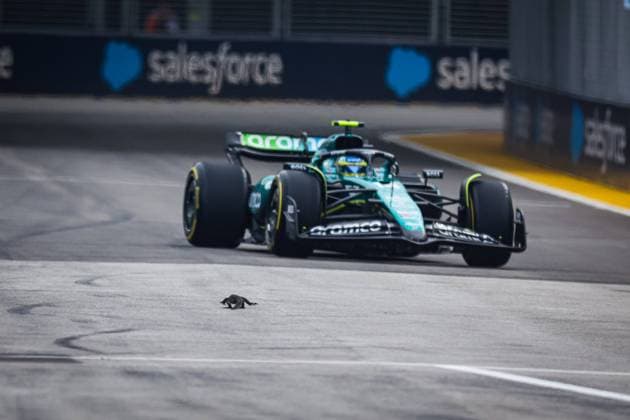 Bilder des Jahres 2024, Sport 09 September Sport Themen der Woche KW38 Sport Bilder des Tages A lizard on the track while FP3 is underway with ALONSO Fernando (spa), Aston Martin F1 Team AMR24, in the background, during the Formula 1 Singapore Grand Prix 2024, 18th round of the 2024 Formula One World Championship, WM, Weltmeisterschaft from September 20 to 22, 2024 on the Marina Bay Circuit, in Singapore, Singapore - F1 - SINGAPORE GRAND PRIX 2024 DPPI Panoramic  240921_R18_SINGAPORE_DP_FGDN7747