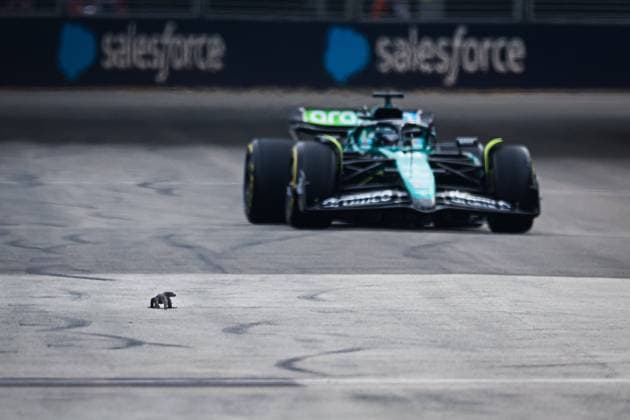 A lizard on the track while FP3 is underway with STROLL Lance (can), Aston Martin F1 Team AMR24, in the background, during the Formula 1 Singapore Grand Prix 2024, 18th round of the 2024 Formula One World Championship, WM, Weltmeisterschaft from September 20 to 22, 2024 on the Marina Bay Circuit, in Singapore, Singapore - F1 - SINGAPORE GRAND PRIX 2024 DPPI Panoramic  240921_R18_SINGAPORE_DP_FGDN7764