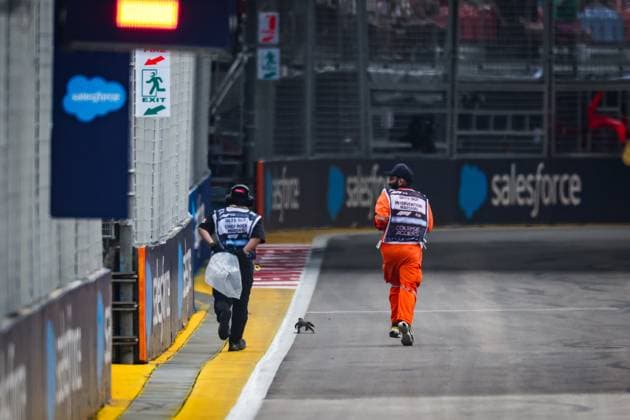 Sport Bilder des Tages A lizard on the track while FP3 is underway during the Formula 1 Singapore Grand Prix 2024, 18th round of the 2024 Formula One World Championship, WM, Weltmeisterschaft from September 20 to 22, 2024 on the Marina Bay Circuit, in Singapore, Singapore - F1 - SINGAPORE GRAND PRIX 2024 DPPI Panoramic  240921_R18_SINGAPORE_DP_FGDN7786