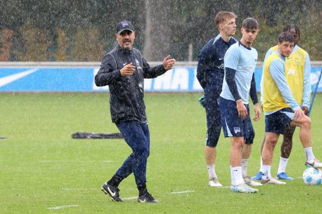 DEU, DFL, 2. FBL Hertha BSC, Training, 24.09.2024, Sportforum, Berlin, DEU, DFL, 2. FBL Hertha BSC, Training, im Bild Cheftrainer Cristian Fiel (Hertha BSC Berlin), Hertha-Spielerkreis DFL - regulations prohibit any use of Photographs as image sequences and or quasi-video Foto: Juergen Engler nordphoto GmbH