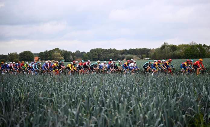Sport Bilder des Tages OMLOOP VAN HET HOUTLAND 2024 LICHTERVELDE, BELGIUM - SEPTEMBER 25 : illustration picture peloton pictured during the Omloop van het Houtland 2024 Cycling race with start in Eernegem and finish in Lichtervelde (195,3km). On September 25, 2024 in Lichtervelde, Belgium, 25 09 2024 Lichtervelde Belgium  Copyright: xGvgx