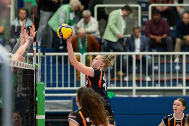 RECORD DATE NOT STATED Pauline Martin (Trikot Nr. 11, Allianz MTV Stuttgart); 1. Volleyball Bundesliga - USC Münster-Allianz MTV Stuttgart, Münster am 02.10.2024 Copyright: xBEAUTIFULxSPORTS PeterxWeberx