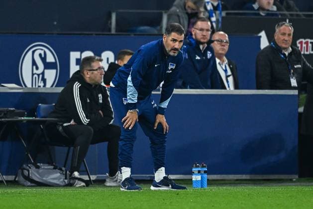 05.10.2024, Fussball, 2. Bundesliga, 8. Spieltag Saison 2024 2025, FC Schalke 04 - Hertha BSC, Trainer Cristian Fiel (Hertha BSC) xRHR-FOTO TKx