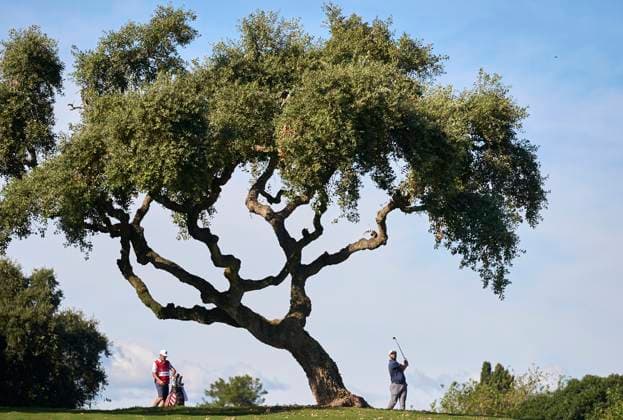 Estrella Damm N.A. Andalucia Masters 2024 Jon Rahm of Spain plays his second shot on the 15th hole on the third day of the Estrella Damm N.A. Andalucia Masters 2024 at Real Club de Golf Sotogrande in San Roque, Spain, on October 19, 2024. San Roque, Spain Spain  Copyright: xJosexManuelxAlvarezxReyx originalFilename:alvarezrey-notitle241019_npWvH.jpg