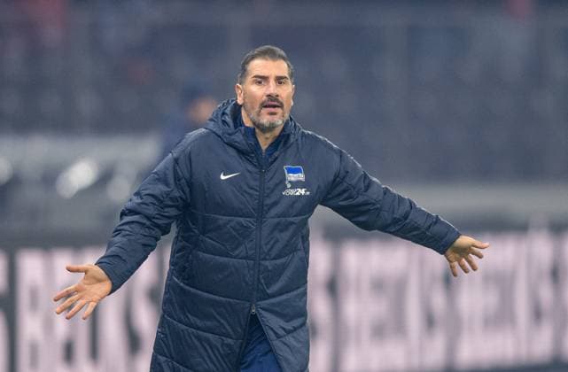 Fussball, Herren, Saison 2024 2025, 2. Bundesliga (11. Spieltag), Hertha BSC - 1. FC Köln, Trainer Cristian Fiel (Hertha BSC), 02.11. 2024,