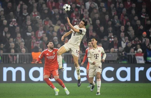 06.11.2024, xemx, Fussball UEFA Champions League, FC Bayern Muenchen - Benfica Lissabon emspor, v.l. Orkun Koekcue (Benfica Lissabon), Joao Palhinha (FC Bayern Muenchen) Zweikampf, Aktion, action, battle for the ball (DFL DFB REGULATIONS PROHIBIT ANY USE OF PHOTOGRAPHS as IMAGE SEQUENCES and or QUASI-VIDEO) Muenchen
