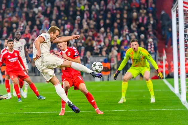Sport Bilder des Tages GER, UEFA CL, FC Bayern Muenchen (GER) vs Benfica Lissabon (PRT) 06.11.2024, Allianz Arena, Muenchen, GER, UEFA CL, FC Bayern Muenchen (GER) vs Benfica Lissabon (PRT), UEFA regulations prohibit any use of photographs as image sequences and or quasi-video, im Bild Harry Kane (FCB 9) beim Schuss mit Anatolij Trubin (Benfica 1)