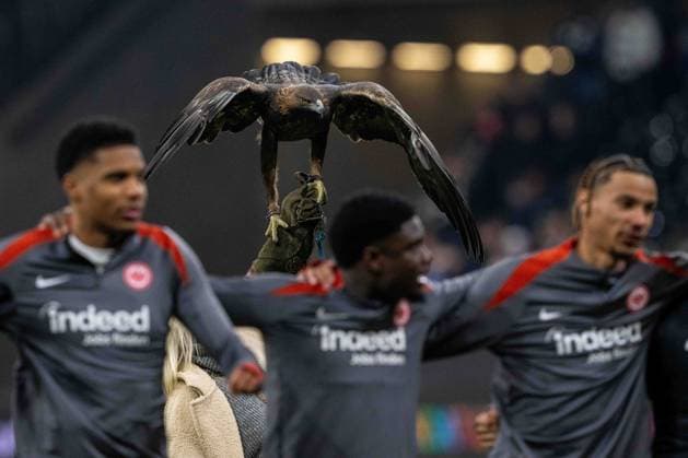 Maskottchen Attila celebrate after winning during the UEFA Europa League 2024 25 League Phase MD4 match between Eintracht Frankfurt v SK Slavia Praha at Deutsche Bank Park on November 7, 2024 in Frankfurt am Main, Germany. not used in POL SRB CRO FRA GBR NED ITA USA Defodi-747_747_20241107_EFSlPr_000000158